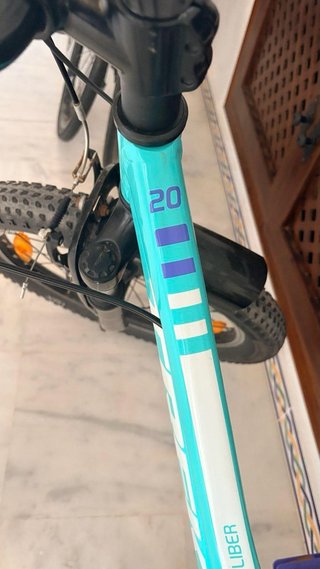 Bicicleta Infantil Trek Precaliber 20 7V