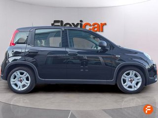 Fiat Panda Panda Hybrid 1.0 51kw (70CV)