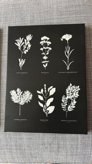 Cuadros Descatalogados IKEA Cocina Hierbas