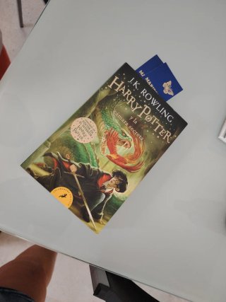 Libro harry Potter y la cámara secreta