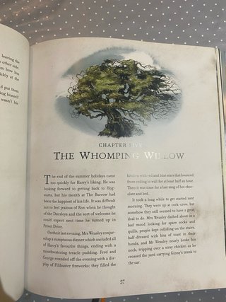 Harry Potter and the Chamber of Secrets