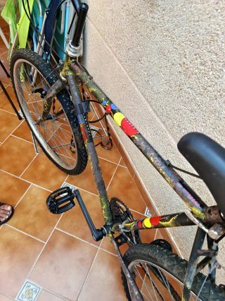 Bicicleta Montagna Vintage