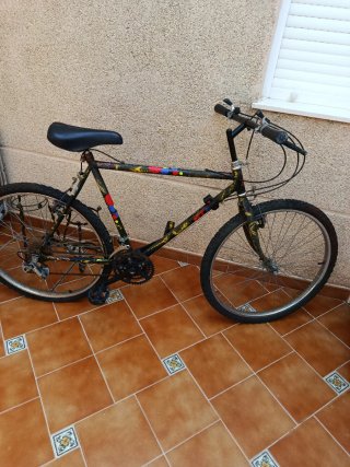 Bicicleta Montagna Vintage