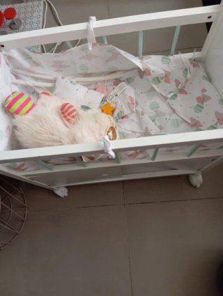 Cuna de juguete