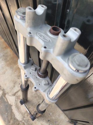 Beta Rrt 50