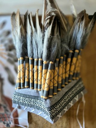 Plumas indio disfraz nuevo