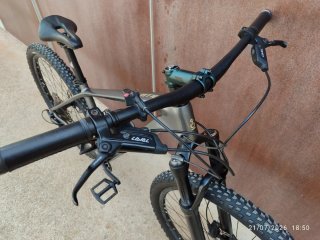 Bicicleta Carbono 29" Montaña