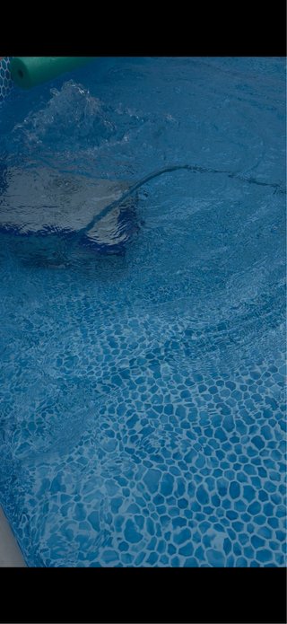 Limpiafondos piscina azul y blanco
