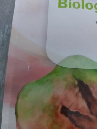 Biología y Geología : 1o ESO