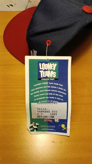 Nutmeg Snapback NY Yankees Looney Tunes 1995 Gorra