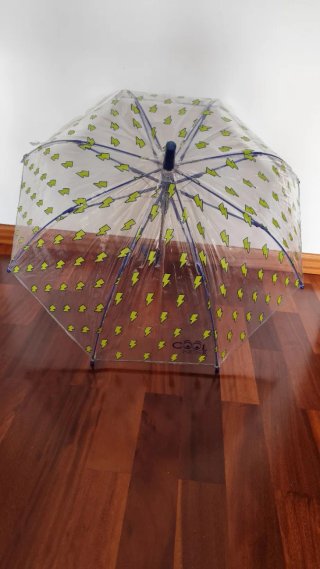 Paraguas infantil azul y verde