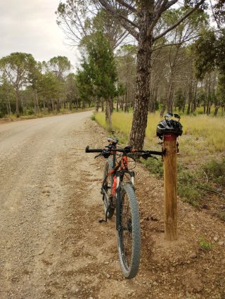 Bicicleta Montaña KTM Aérea Carbono 29"