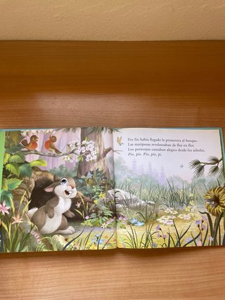 Libro Infantil Disney Tambor y su Familia