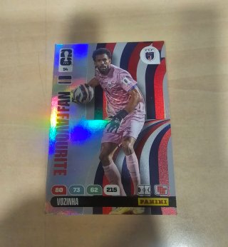 Lote Cards Adrenalyn Mundial 2026