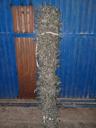 Arbolillo de caza