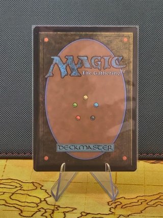 MTG MOC Shalai y Hallar Mitica Borderless NM JP