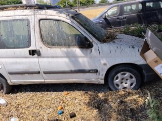 Despiece Peugeot Partner 1.9 D