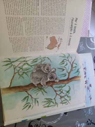 Geografia degli animali. L'incredibile capacità...