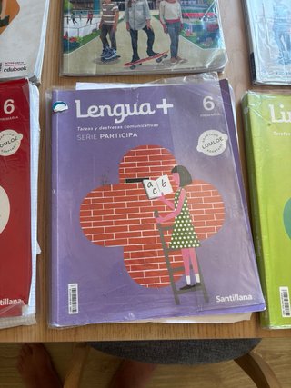 Libros de texto 6º de primaria