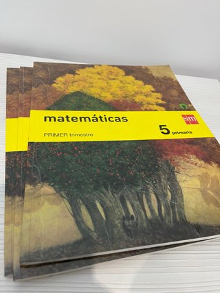 Libros matemáticas quinto primaria SM