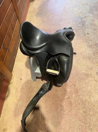 Montura de caballo inglesa negra