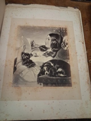 Libro antiguo beautifull women