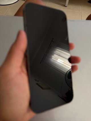 iPhone 13 Pro Plata/Gris Espacial Version IOS 26.2