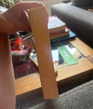 Libro el dia que se perdió la cordura