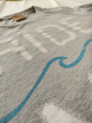 Camiseta Hollister Ride My Swell Gris