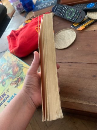 Libro de buen amor ; Texto integro en version de