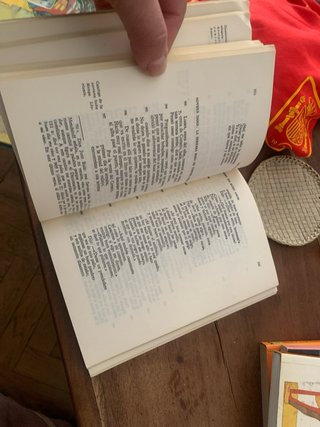 Libro de buen amor ; Texto integro en version de