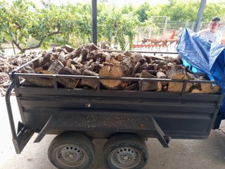 Leña de olivo para barbacoa y chimenea