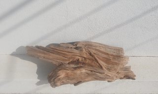 Centro de mesa em madeira / Tronco decorativo