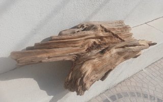 Centro de mesa em madeira / Tronco decorativo