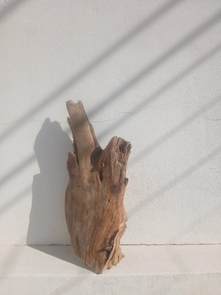 Centro de mesa em madeira / Tronco decorativo