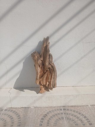Centro de mesa em madeira / Tronco decorativo