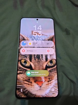 Samsung Galaxy S25 FE - Casi Nuevo