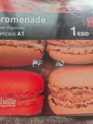 Libro Promenade Francés A1