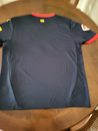 Camiseta Girona FC Senyera Catalunya Original Puma