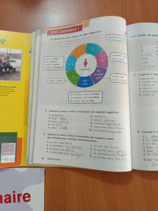Vraiment top! Con Grammaire e Verbi. Per la Scu...