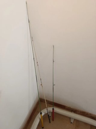Cañas de rio pantano antiguas para restaurar