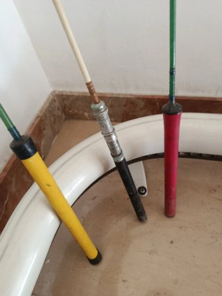 Cañas de rio pantano antiguas para restaurar