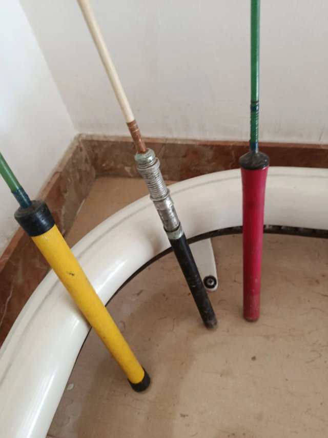 Cañas de rio pantano antiguas para restaurar