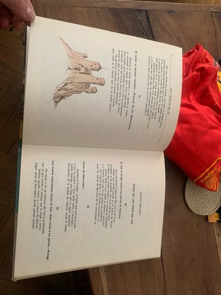 Vida y poema de mio cid / cantar de mio cid