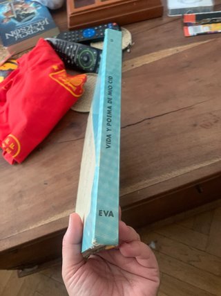 Vida y poema de mio cid / cantar de mio cid