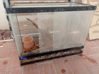 Terrario para mascotas