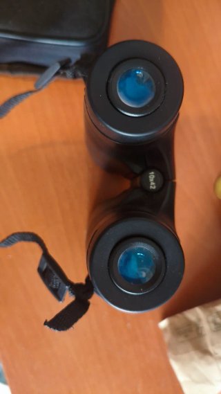 Prismáticos Bushnell 10x42
