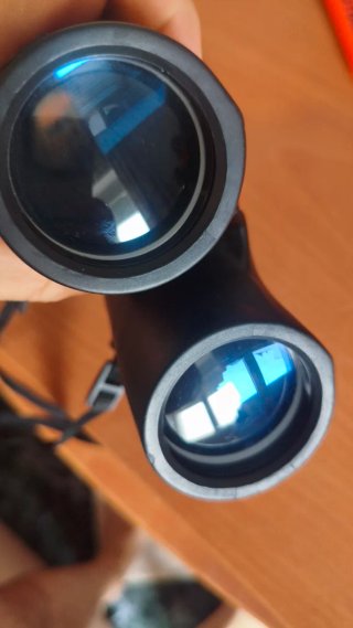 Prismáticos Bushnell 10x42