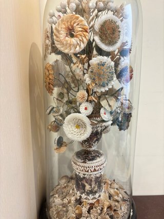 Fanal Isabelino con flores de conchas