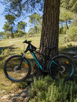 Bicicleta Orbea MX50 27.5
